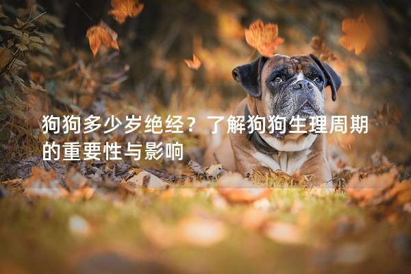狗狗多少歲絕經(jīng)？了解狗狗生理周期的重要性與影響