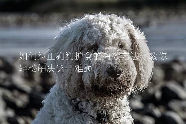 如何糾正狗狗護(hù)食的有效方法，教你輕松解決這一難題