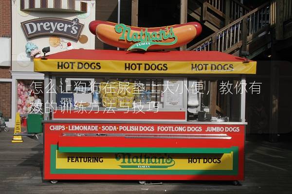 怎么讓狗狗在尿墊上大小便,教你有效的訓練方法與技巧