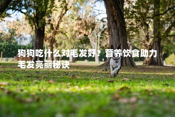 狗狗吃什么對毛發好?營養飲食助力毛發亮麗秘訣 狗狗吃什么對毛發好?營養飲食助力毛發亮麗秘訣