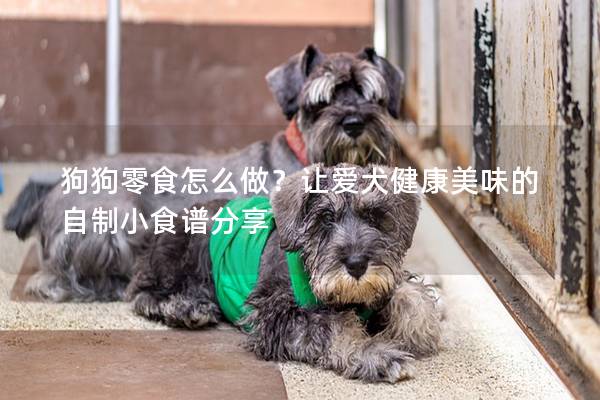 狗狗零食怎么做？讓愛(ài)犬健康美味的自制小食譜分享