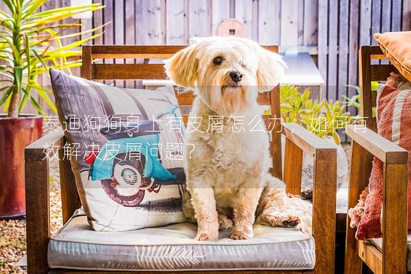 泰迪狗狗身上有皮屑怎么辦,如何有效解決皮屑問題?