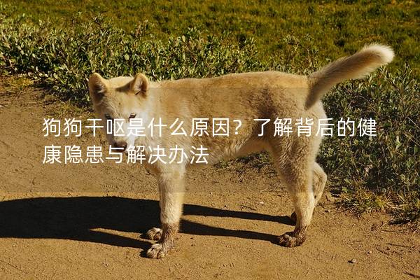 狗狗干嘔是什么原因？了解背后的健康隱患與解決辦法