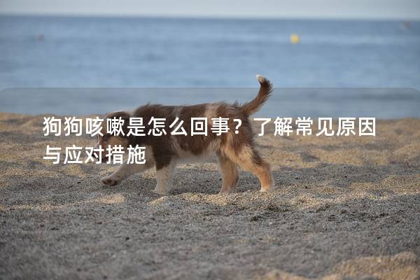 狗狗咳嗽是怎么回事？了解常見原因與應(yīng)對措施