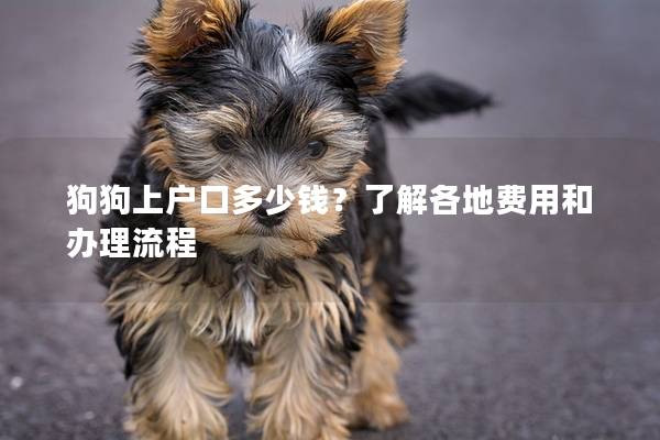狗狗上戶口多少錢？了解各地費用和辦理流程