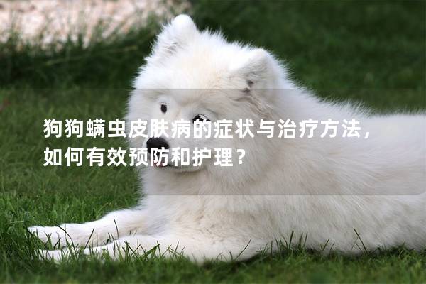 狗狗螨蟲皮膚病的癥狀與治療方法，如何有效預防和護理？