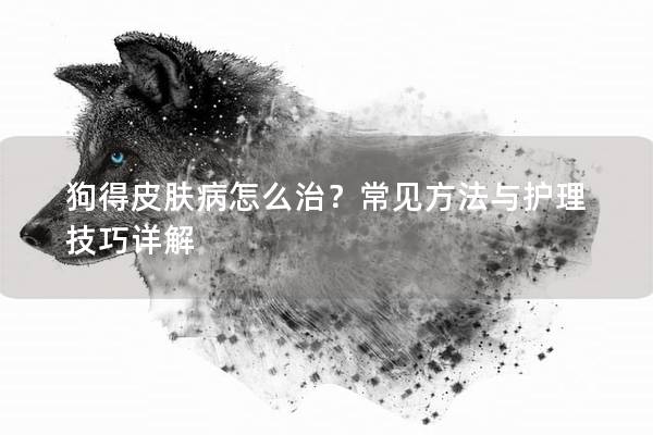 狗得皮膚病怎么治？常見方法與護理技巧詳解