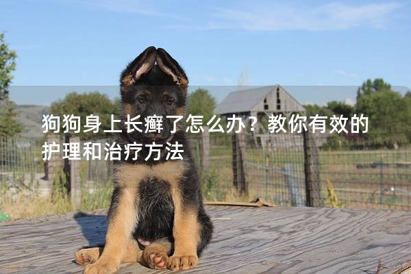 狗狗身上長(zhǎng)癬了怎么辦?教你有效的護(hù)理和治療方法 狗狗身上長(zhǎng)癬了怎么辦?教你有效的護(hù)理和治療方法