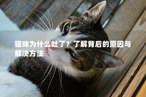 貓咪為什么吐了?了解背后的原因與解決方法