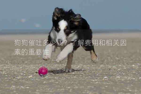 狗狗催吐多少錢?了解費(fèi)用和相關(guān)因素的重要性 狗狗催吐多少錢?了解費(fèi)用和相關(guān)因素的重要性