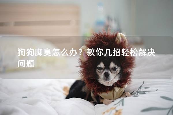 狗狗腳臭怎么辦？教你幾招輕松解決問(wèn)題