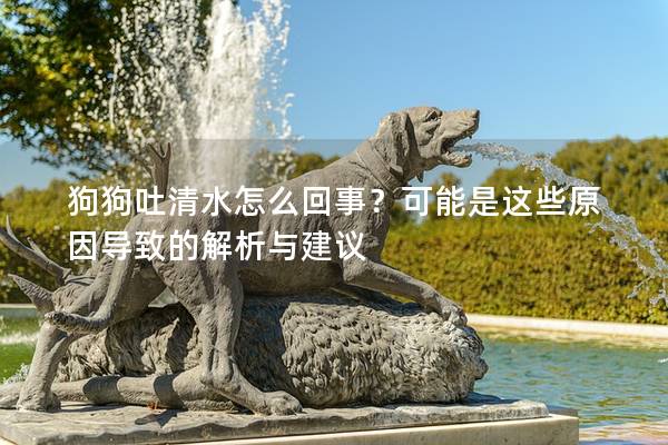 狗狗吐清水怎么回事？可能是這些原因導致的解析與建議