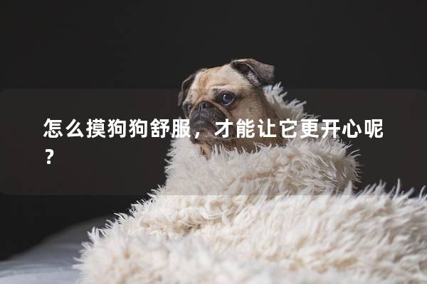 怎么摸狗狗舒服，才能讓它更開心呢？