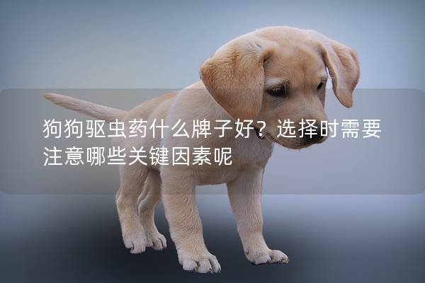 狗狗驅(qū)蟲藥什么牌子好？選擇時需要注意哪些關(guān)鍵因素呢