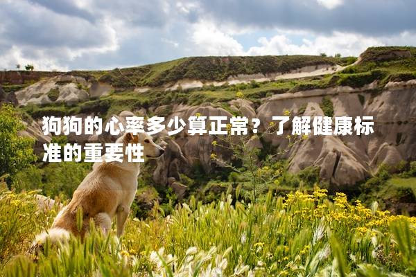 狗狗的心率多少算正常?了解健康標準的重要性 狗狗的心率多少算正常?了解健康標準的重要性