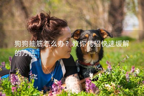 狗狗抽筋怎么辦？教你幾招快速緩解的方法