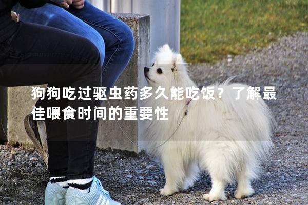 狗狗吃過驅蟲藥多久能吃飯？了解最佳喂食時間的重要性