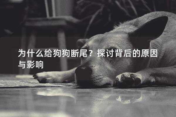 為什么給狗狗斷尾？探討背后的原因與影響
