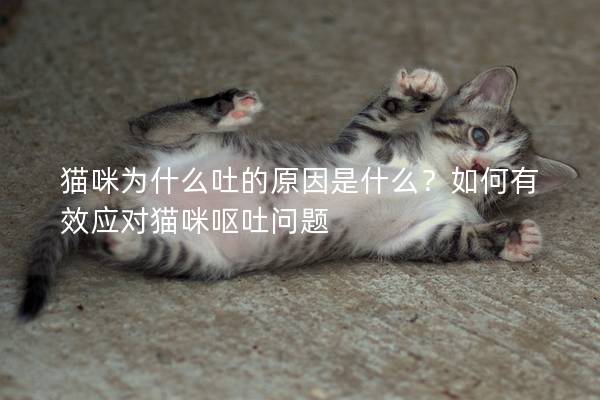 貓咪為什么吐的原因是什么？如何有效應對貓咪嘔吐問題