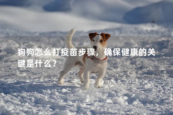 狗狗怎么打疫苗步驟，確保健康的關鍵是什么？
