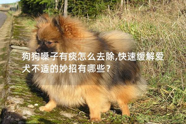 狗狗嗓子有痰怎么去除,快速緩解愛犬不適的妙招有哪些? 狗狗嗓子有痰怎么去除,快速緩解愛犬不適的妙招有哪些?