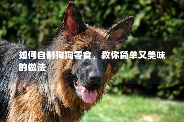 如何自制狗狗零食,教你簡單又美味的做法