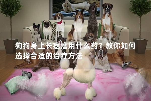 狗狗身上長疙瘩用什么藥？教你如何選擇合適的治療方法