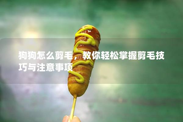 狗狗怎么剪毛，教你輕松掌握剪毛技巧與注意事項