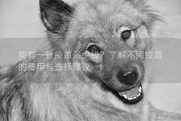 狗狗一針疫苗多少錢？了解不同疫苗的費用與選擇建議