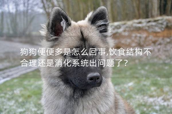 狗狗便便多是怎么回事,飲食結構不合理還是消化系統出問題了？