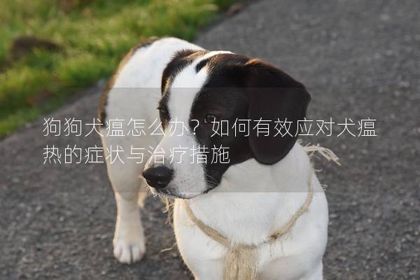 狗狗犬瘟怎么辦？如何有效應(yīng)對(duì)犬瘟熱的癥狀與治療措施