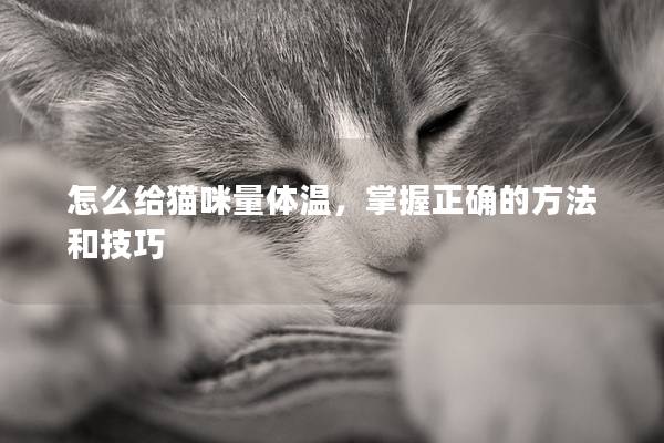 怎么給貓咪量體溫，掌握正確的方法和技巧