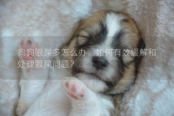 狗狗眼屎多怎么辦，如何有效緩解和處理眼屎問題？