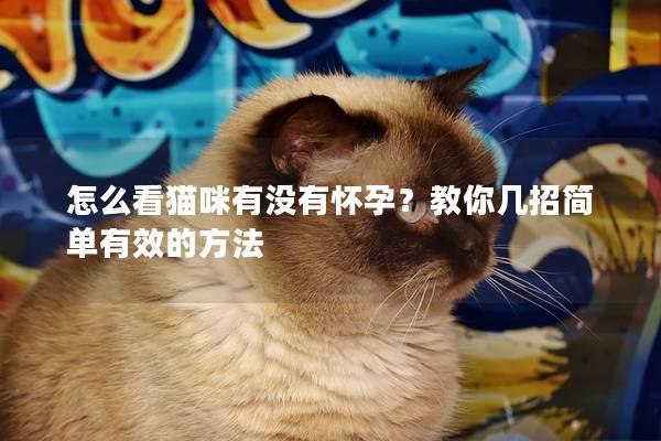 怎么看貓咪有沒有懷孕？教你幾招簡單有效的方法