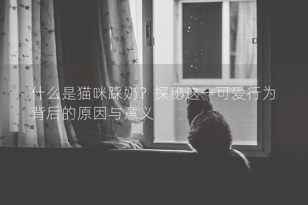 什么是貓咪踩奶？探秘這一可愛行為背后的原因與意義