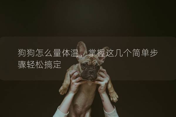 狗狗怎么量體溫，掌握這幾個(gè)簡(jiǎn)單步驟輕松搞定