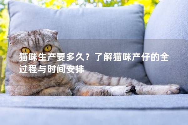 貓咪生產要多久？了解貓咪產仔的全過程與時間安排