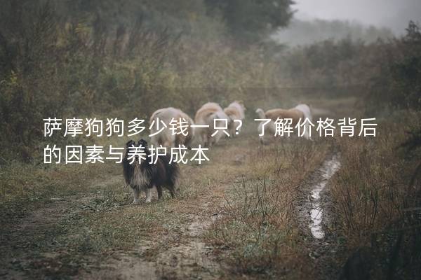 薩摩狗狗多少錢一只？了解價格背后的因素與養(yǎng)護成本
