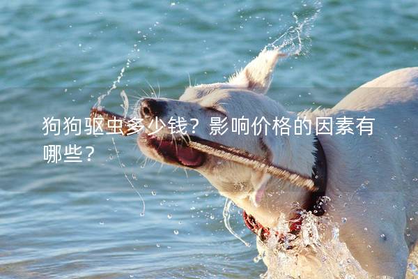 狗狗驅(qū)蟲多少錢？影響價格的因素有哪些？