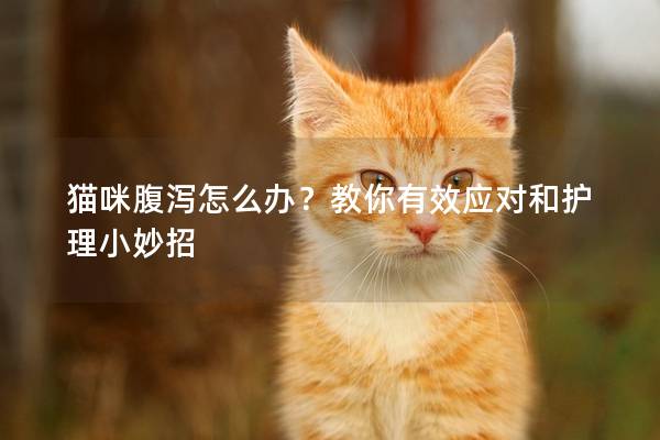 貓咪腹瀉怎么辦?教你有效應(yīng)對和護理小妙招