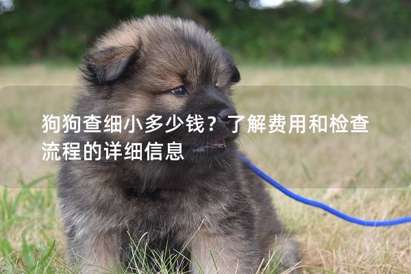 狗狗查細(xì)小多少錢？了解費(fèi)用和檢查流程的詳細(xì)信息