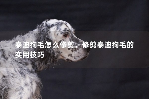 泰迪狗毛怎么修剪，修剪泰迪狗毛的實用技巧