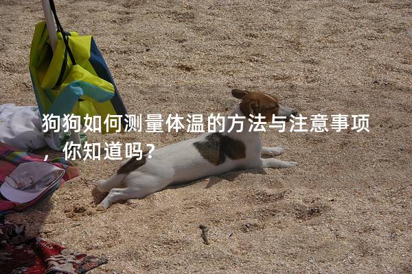 狗狗如何測量體溫的方法與注意事項，你知道嗎？