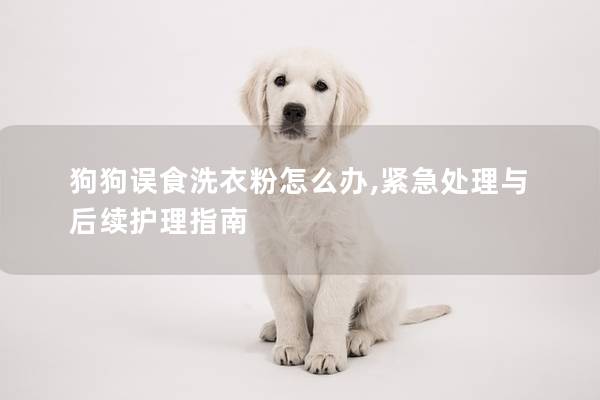 狗狗誤食洗衣粉怎么辦,緊急處理與后續護理指南
