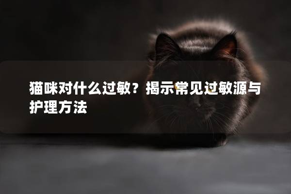 貓咪對什么過敏？揭示常見過敏源與護理方法