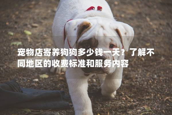 寵物店寄養(yǎng)狗狗多少錢一天?了解不同地區(qū)的收費(fèi)標(biāo)準(zhǔn)和服務(wù)內(nèi)容 寵物店寄養(yǎng)狗狗多少錢一天?了解不同地區(qū)的收費(fèi)標(biāo)準(zhǔn)和服務(wù)內(nèi)容