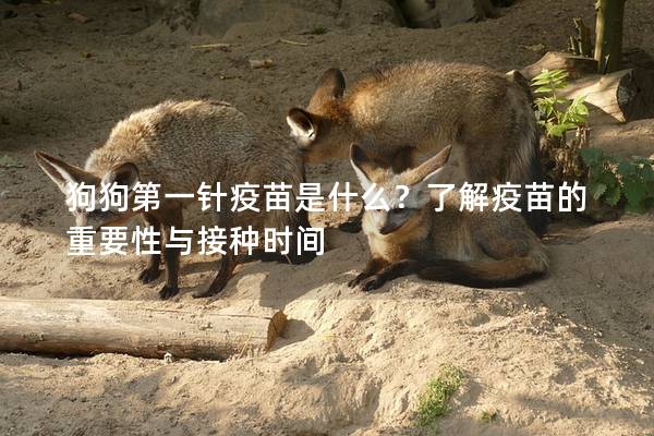 狗狗第一針疫苗是什么？了解疫苗的重要性與接種時間