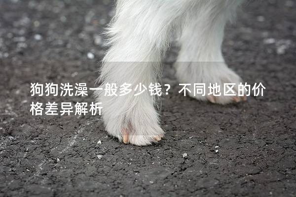 狗狗洗澡一般多少錢？不同地區的價格差異解析