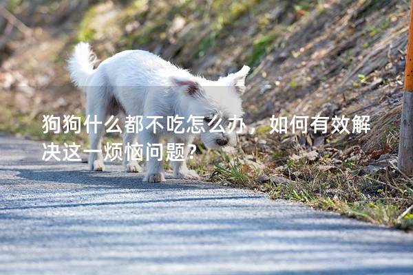 狗狗什么都不吃怎么辦，如何有效解決這一煩惱問題？