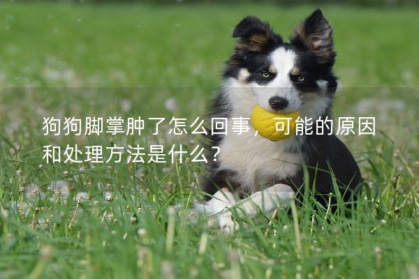 狗狗腳掌腫了怎么回事，可能的原因和處理方法是什么？